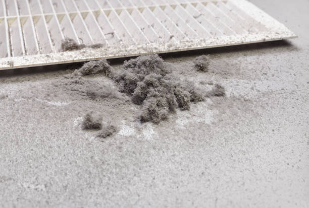 Best Home Air Vent Cleaning  in Rosemont, IL